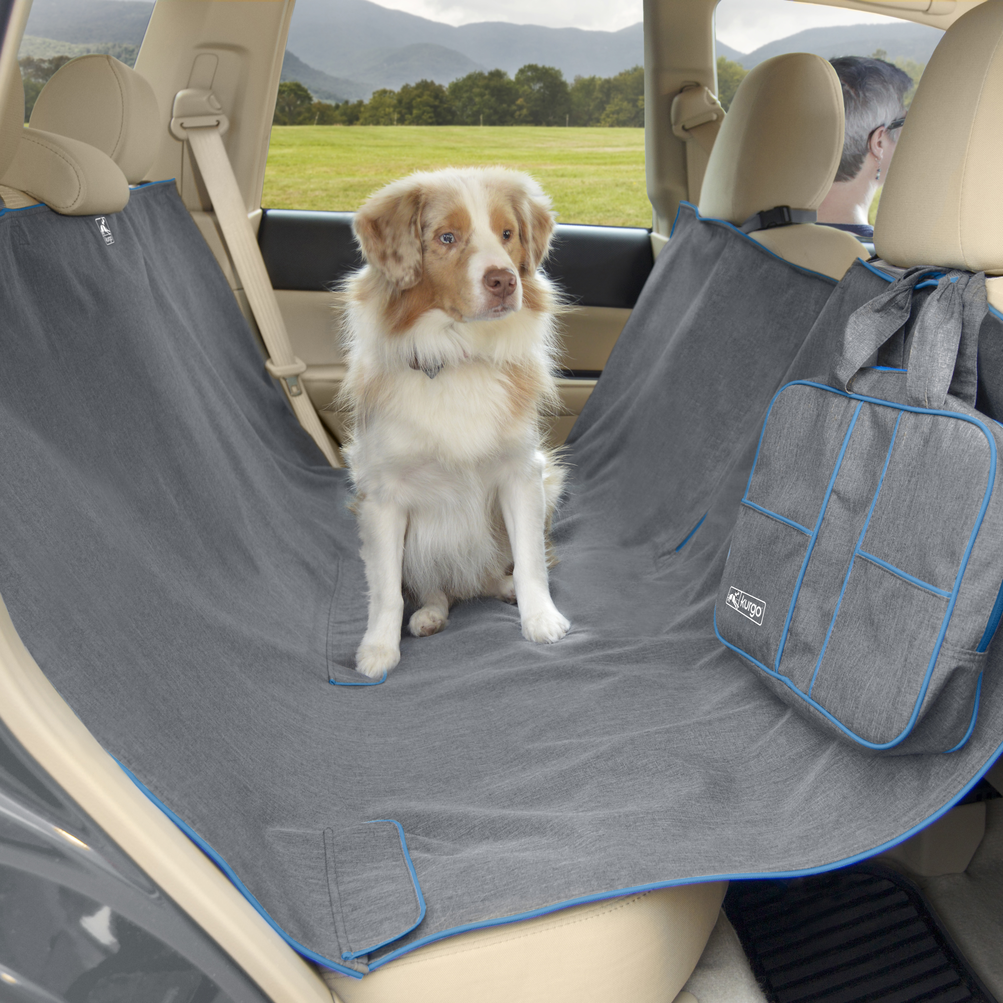 Pet Union Car Seat Cover/Hammock for Dogs, Black