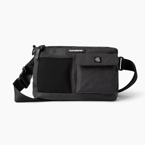 Dog Walk & Train Sling, Graphite
