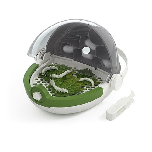 Insects Growth Station, Ages 3+ Years