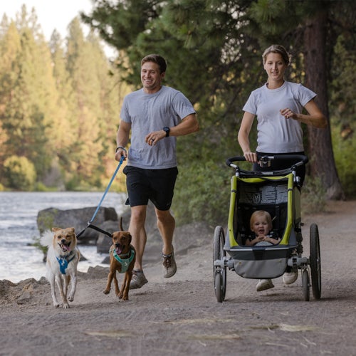 Double Track Dog Leash Coupler, Basalt Gray