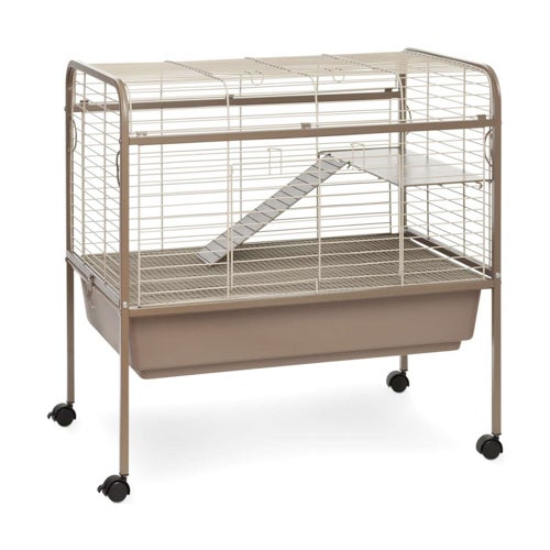 Small Animal Home, Coco