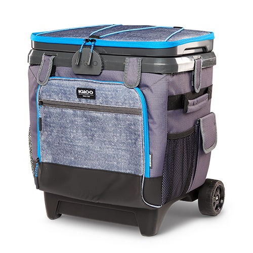 Igloo maxcold sales 36 can cooler