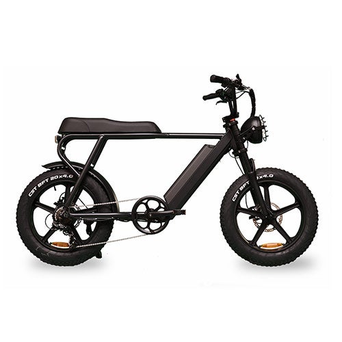 Happy Ernie Electric Bike, Gray