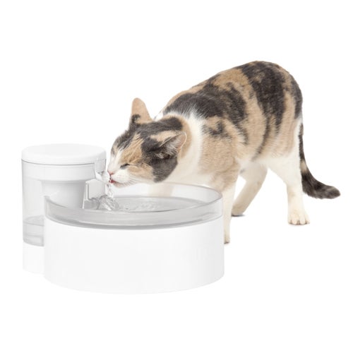 Outlast 90oz Pumpless Pet Fountain