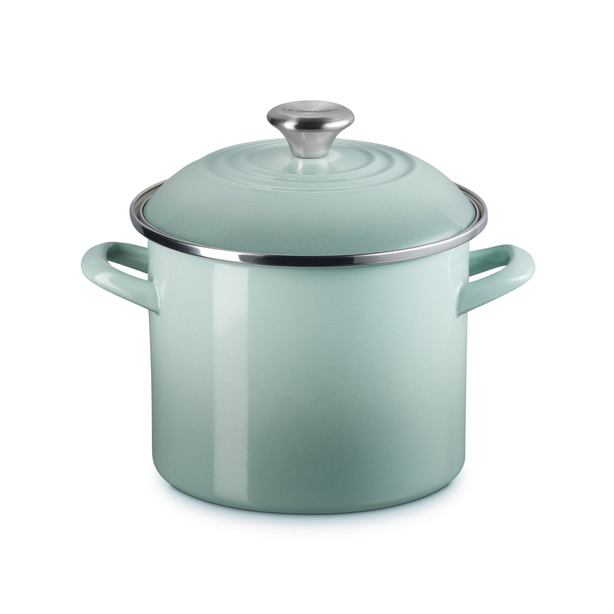 6qt Enamel on Steel Covered Stockpot Sea Salt