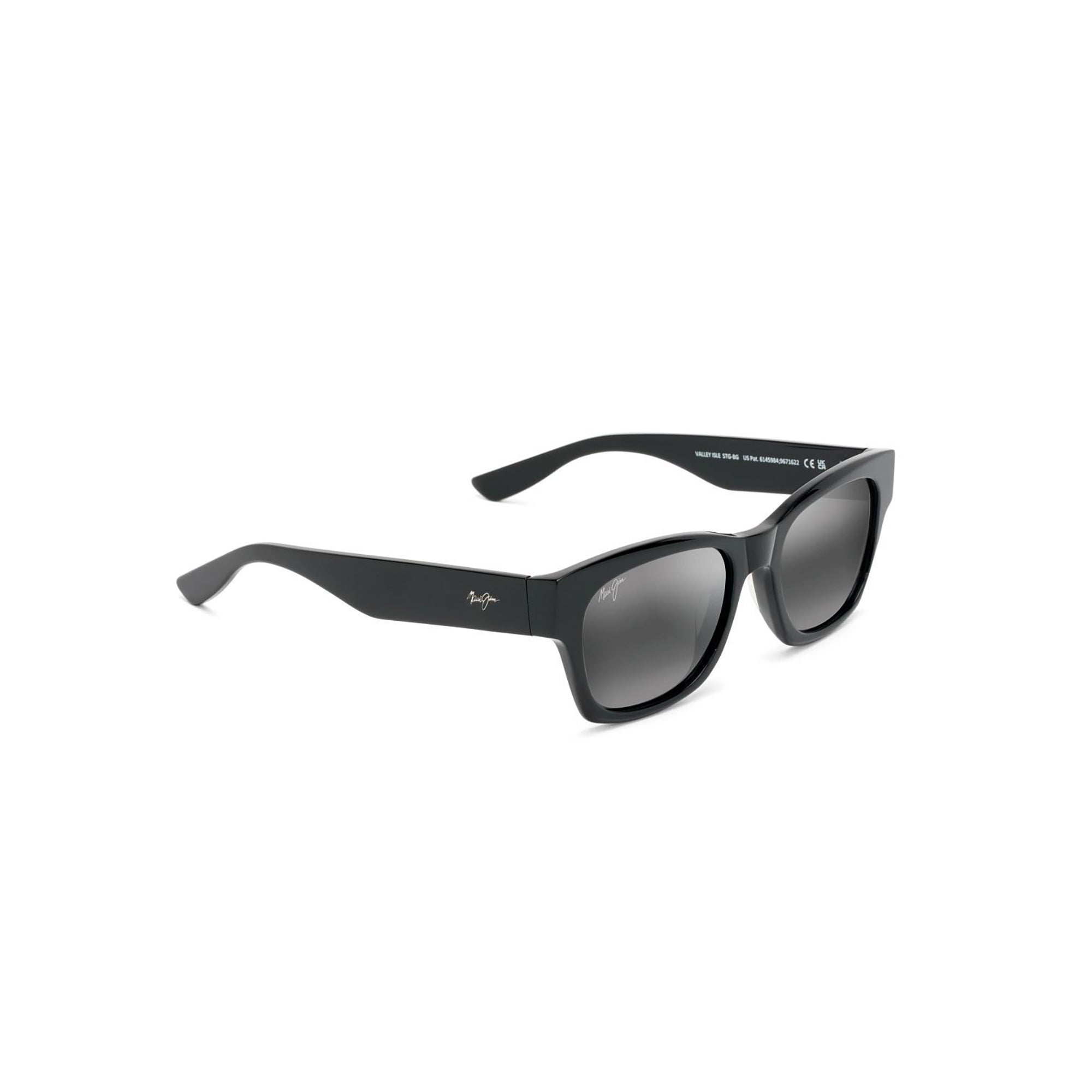 Valley Isle Polarized Sunglasses Black Gloss Frame Neutral Gray Lens